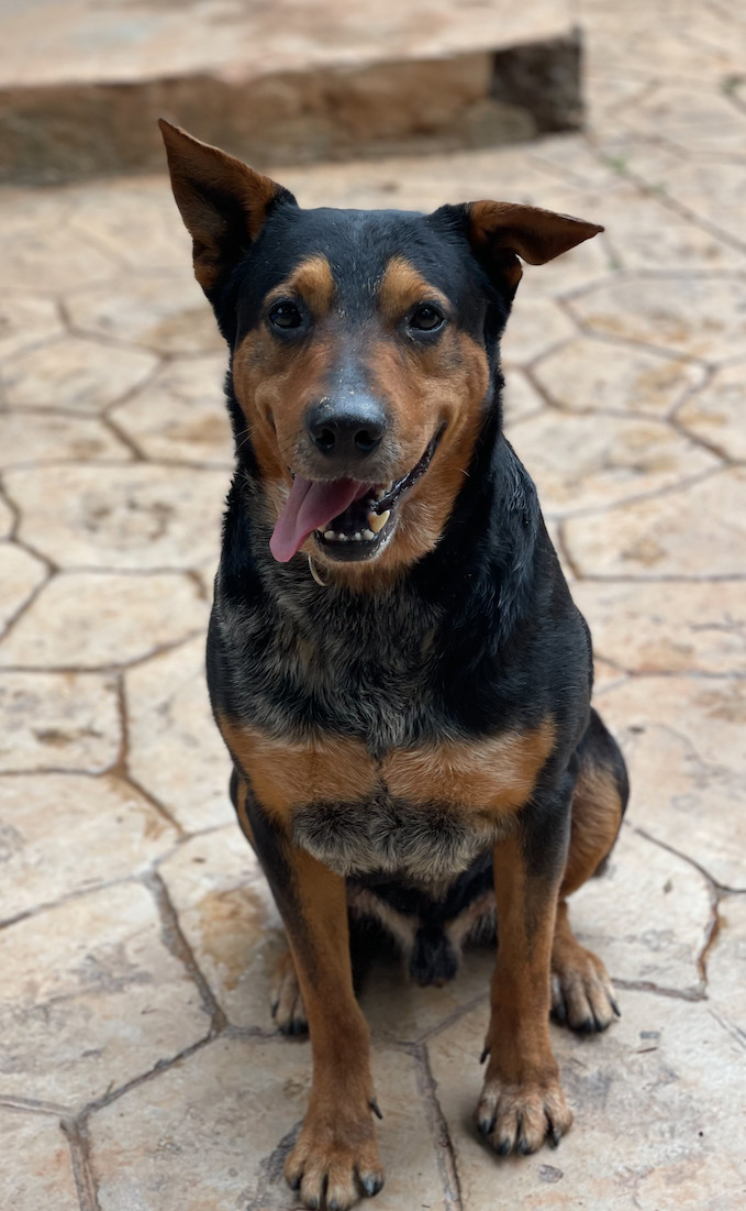 Tyson