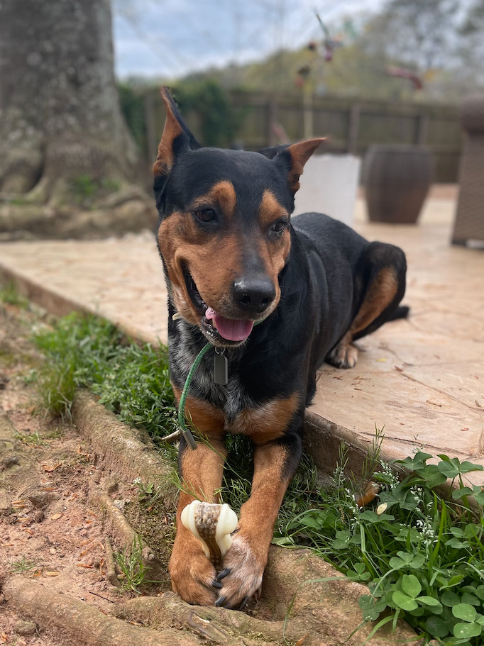 Tyson