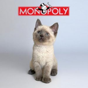Monopoly Siamese Cat