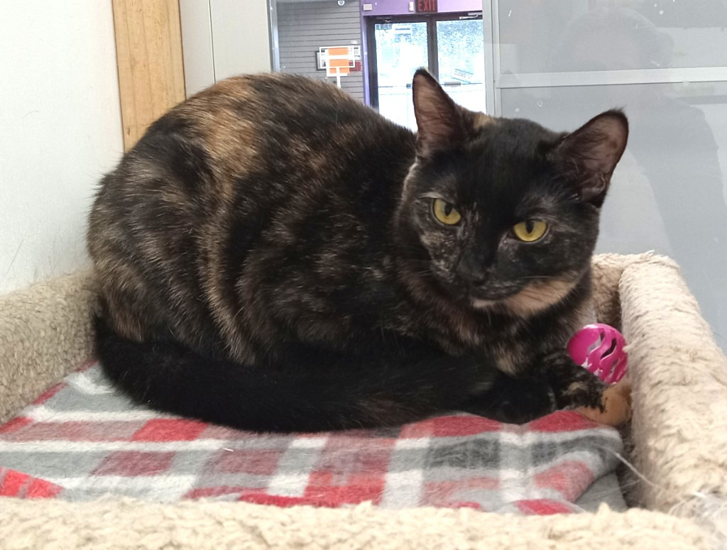 Luna