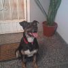 Thalia photo 4