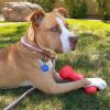 Katie photo 3