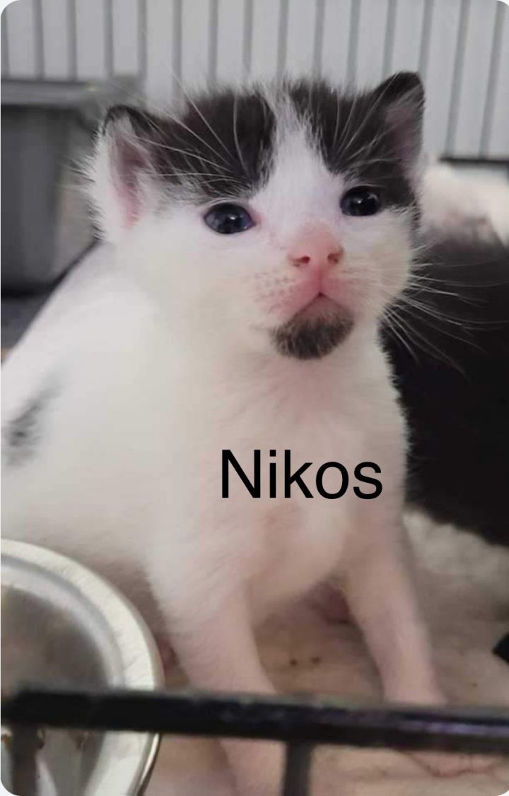 Nikos 2