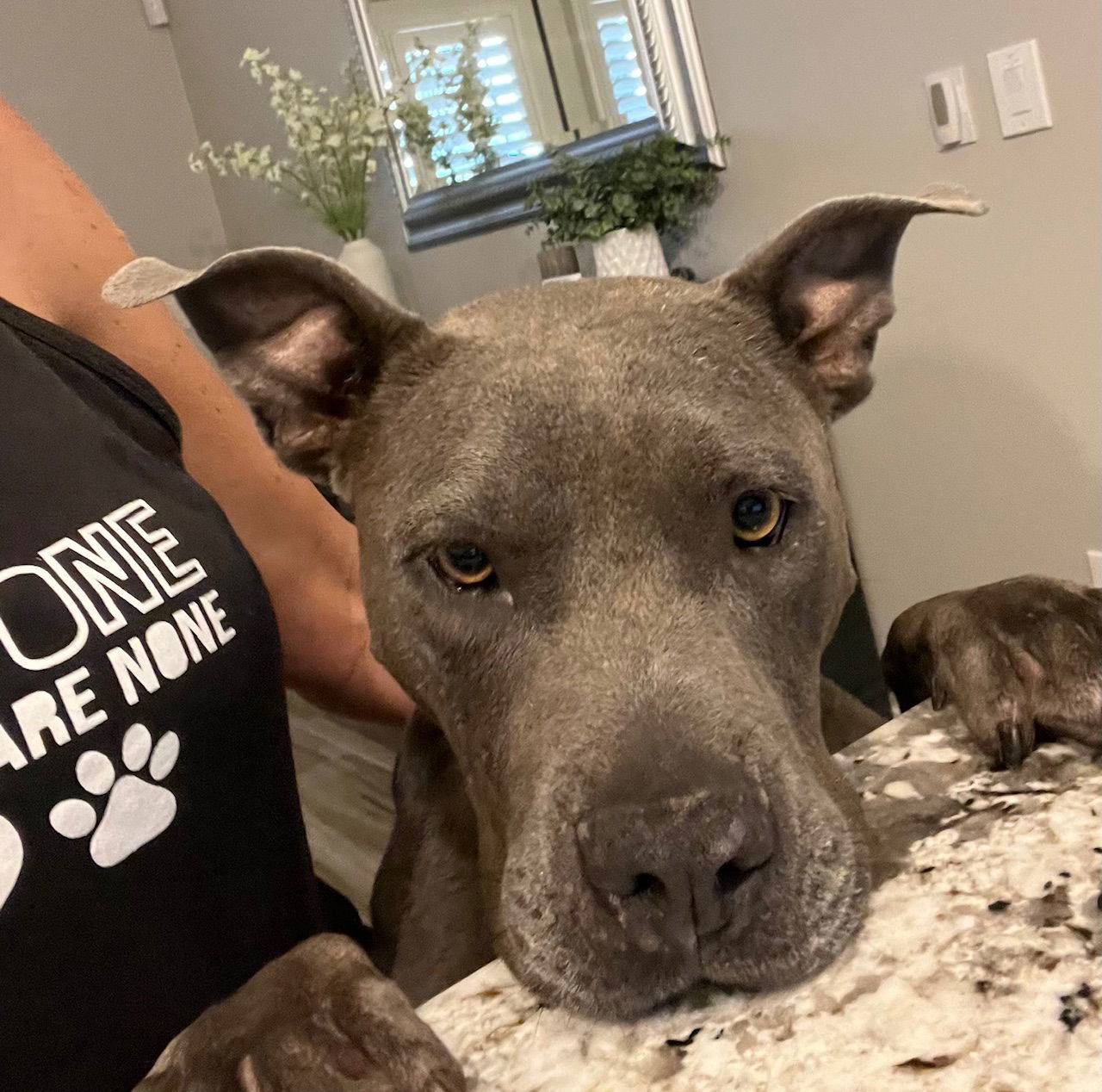 Gracie