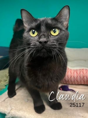 Clawdia will steal your heart This girl is awesome Sweet friendly and extremely gorgeous Who do