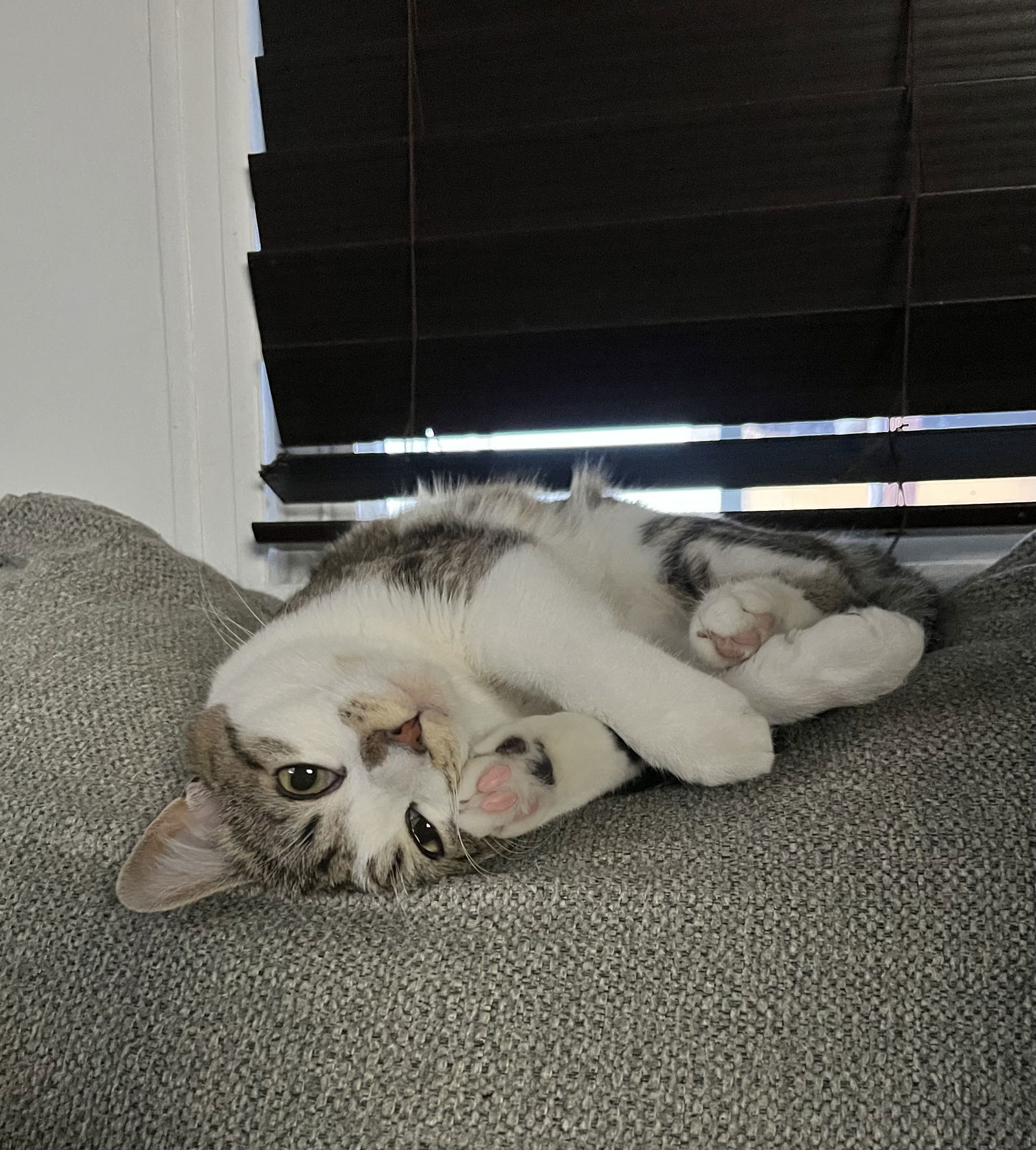 Peaches