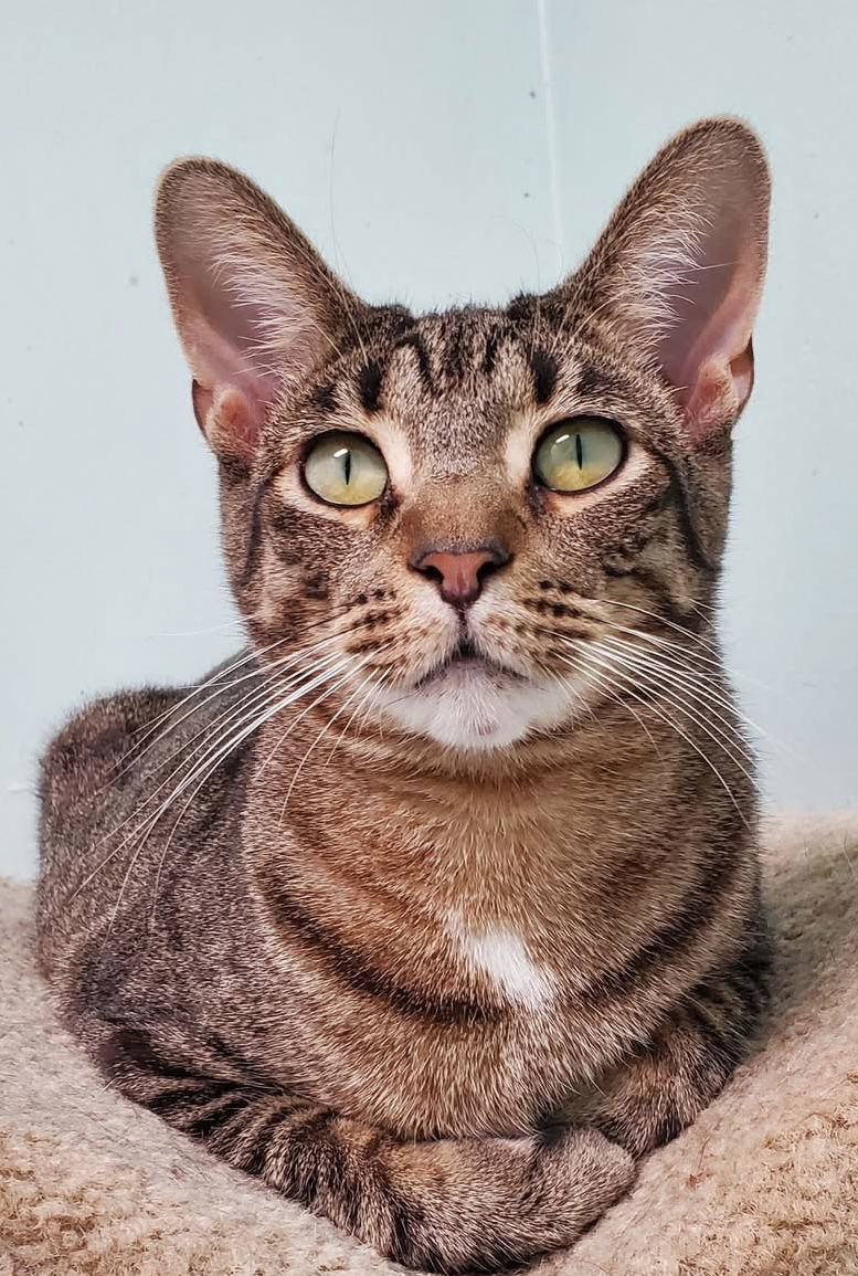 Sam