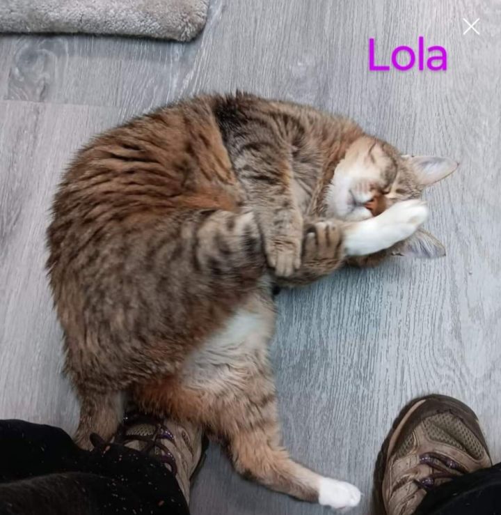 LOLA 3