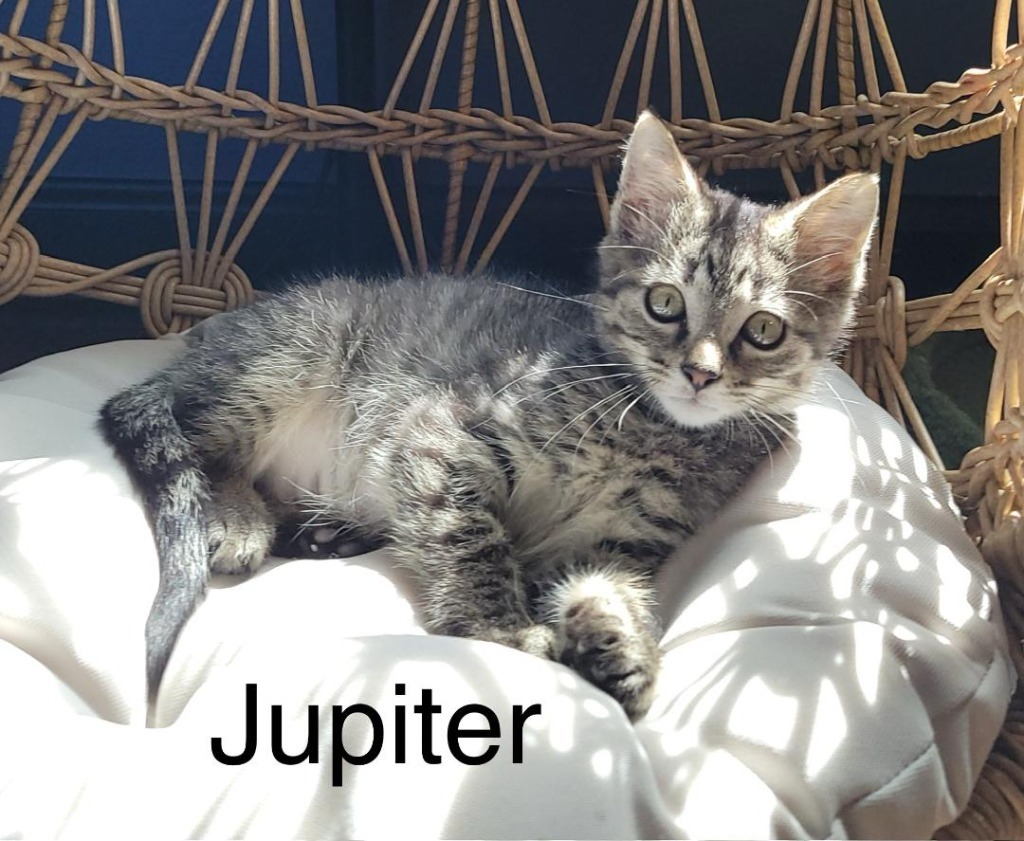 Jupiter