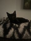 Amalia photo 3