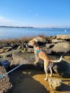 Maximus photo 6