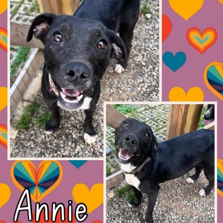 Annie photo