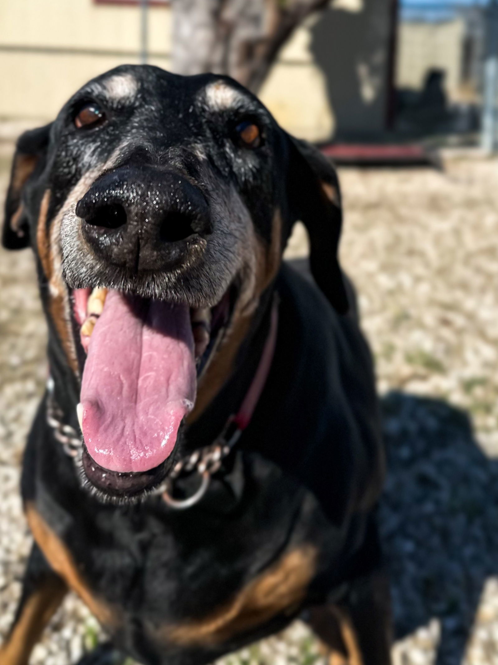 Tilly