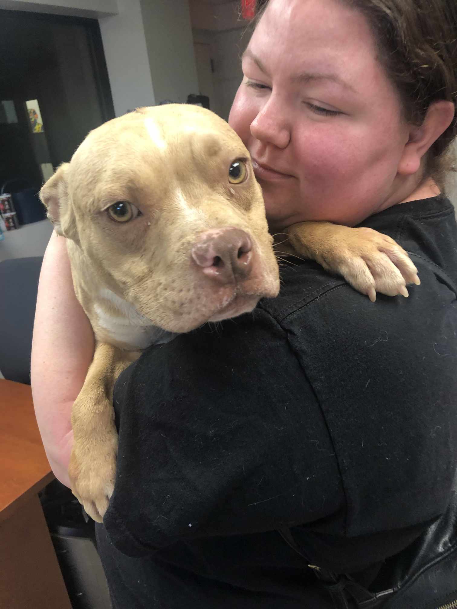 Dorito, an adoptable Pit Bull Terrier in Arlee, MT, 59821 | Photo Image 4