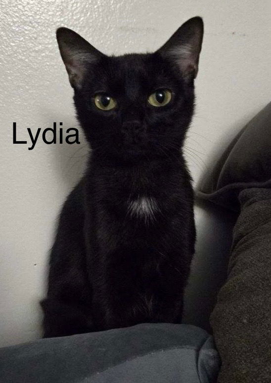 Lydia