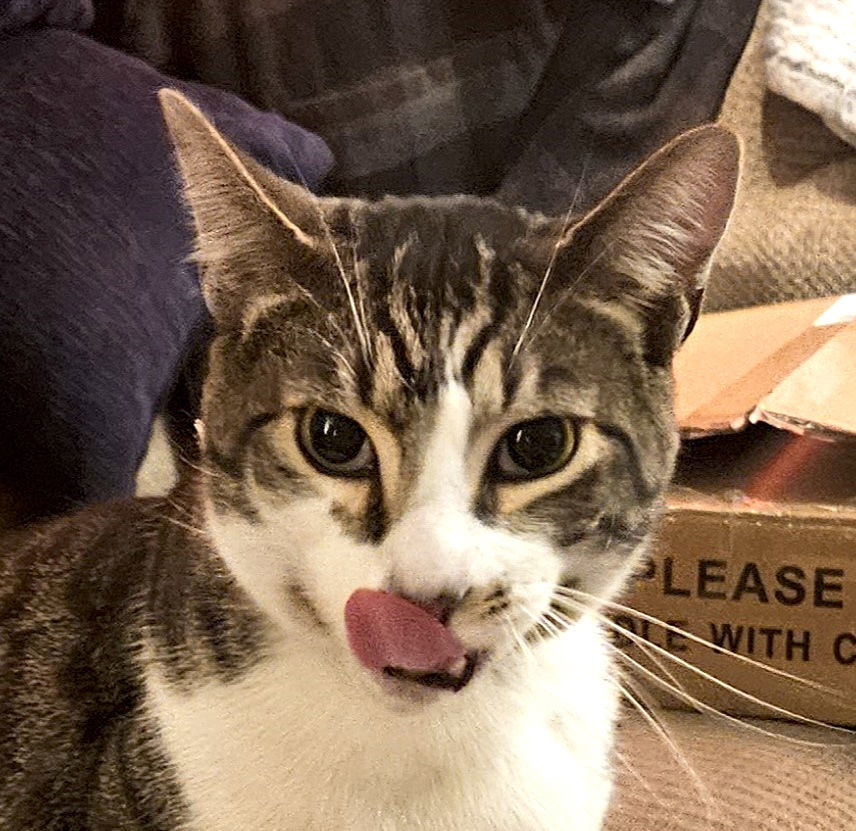 Bruce (Courtesy Post)