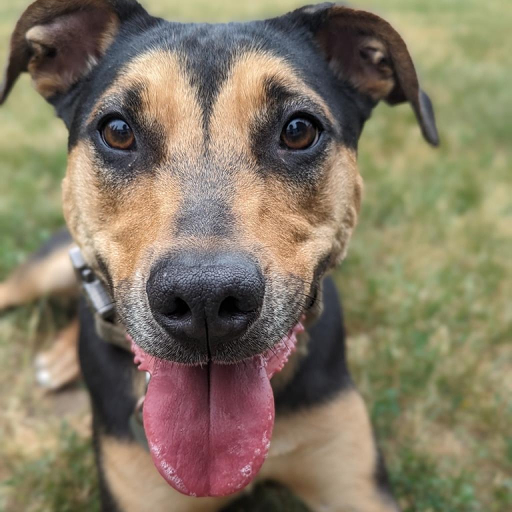 Penny