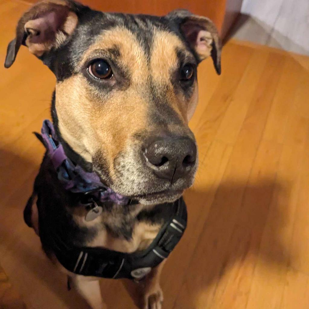 Penny