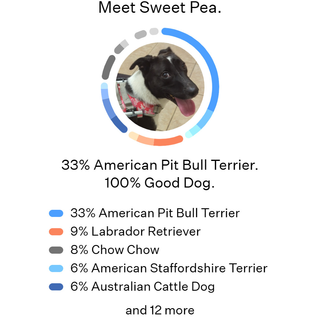 Sweet Pea
