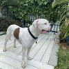 SAMMY photo 3