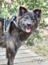 Ursa photo 1