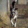 Kittle photo 3
