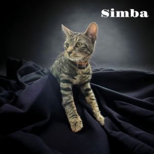 Simba