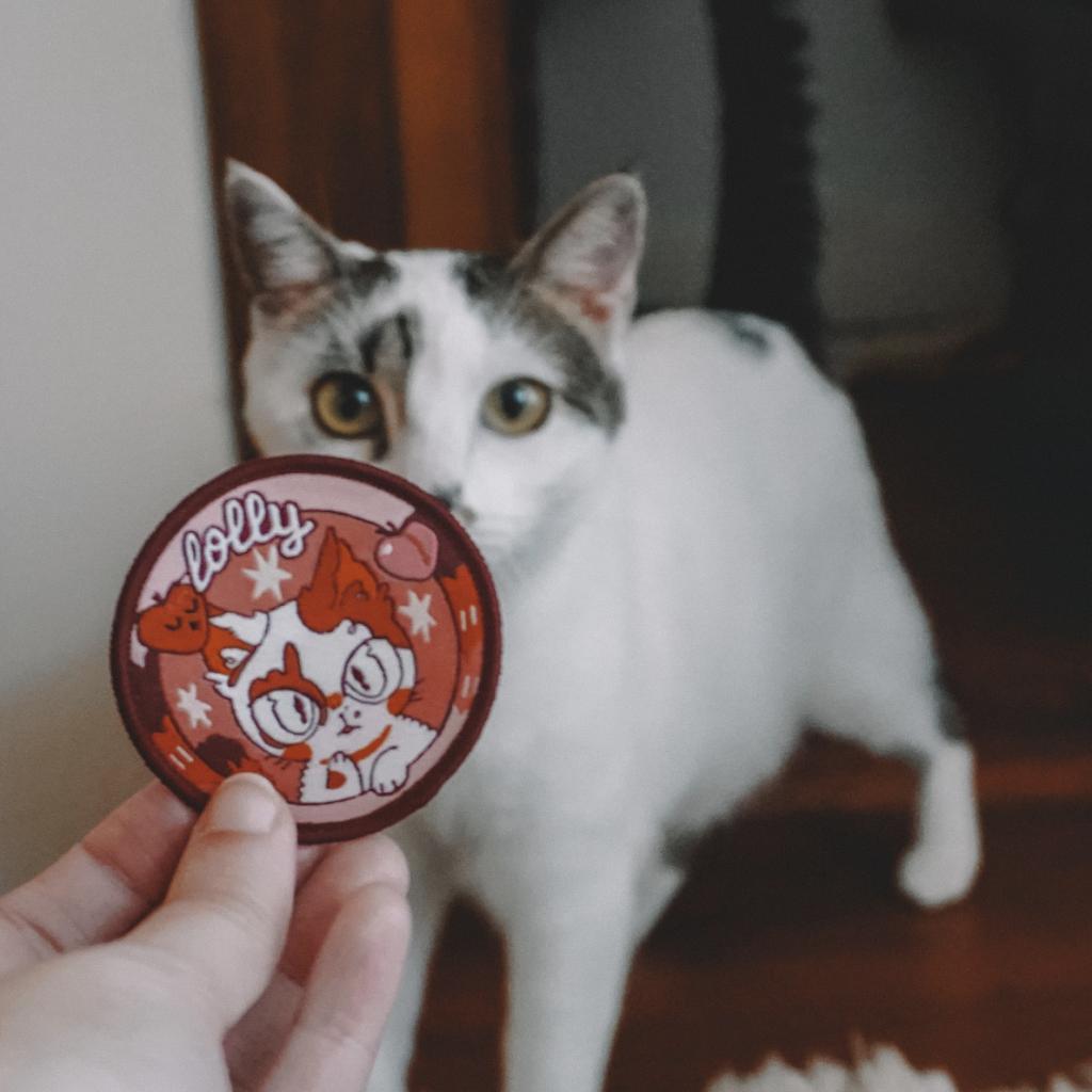 LOLLY, an adoptable Domestic Short Hair in San Antonio, TX, 78212 | Photo Image 1