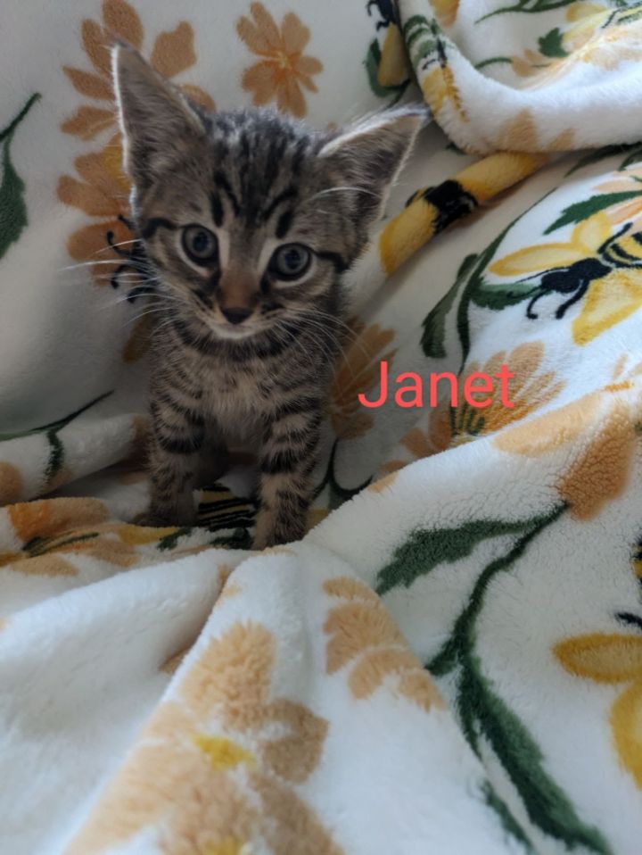 Janet Wood 1