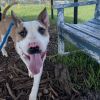 Stitch photo 2