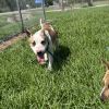 Stitch photo 3