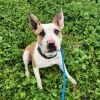 Stitch photo 5