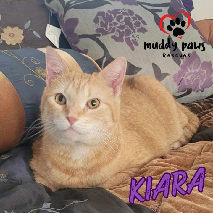 Kiara 1