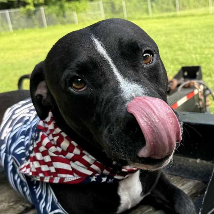 Waylon 2