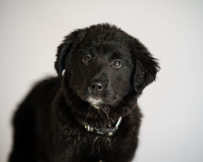 Winnie
