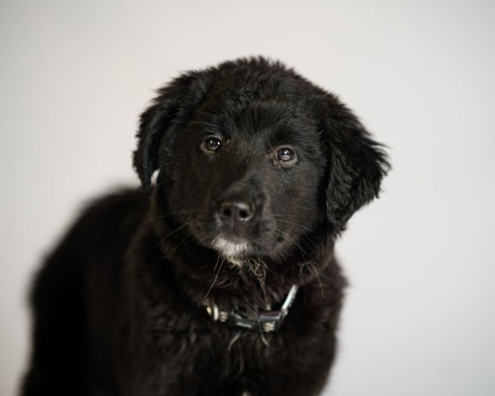 Winnie 1
