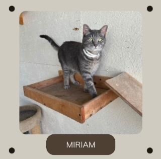 Miriam