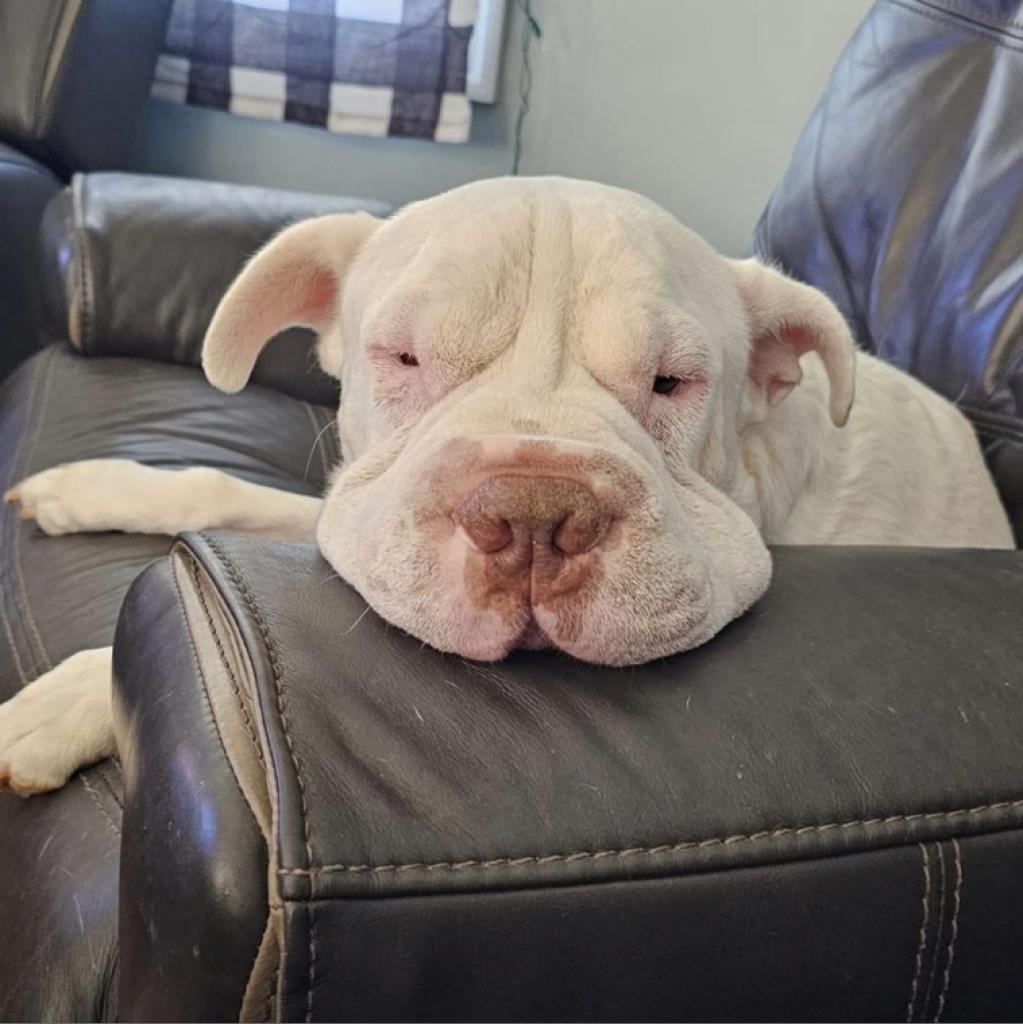 Finnegan