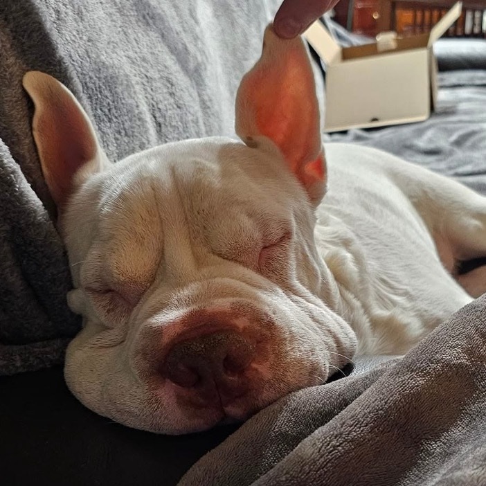 Finnegan
