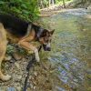Sai photo 5