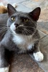 SMOKEY photo 2