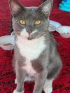 SMOKEY photo 3