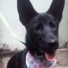 Romina photo 1