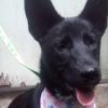 Romina photo 2
