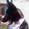 Romina photo 3