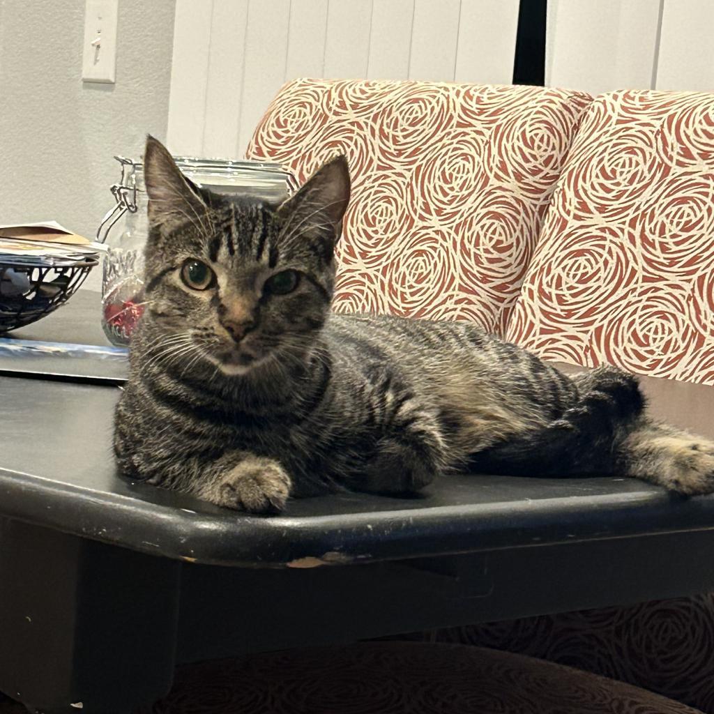 Rosie