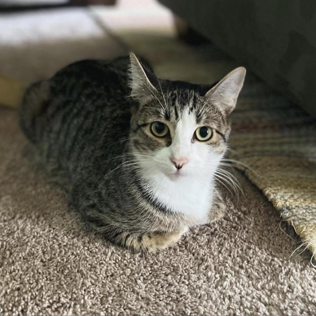 Lily