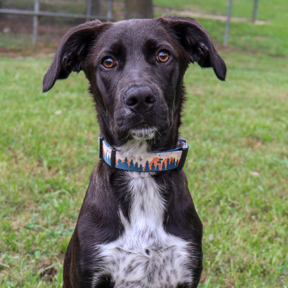 Zula