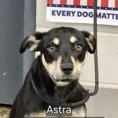 Astra 2