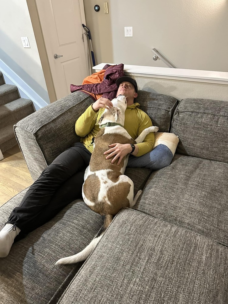 Hercules, an adoptable Labrador Retriever in Littleton, CO, 80126 | Photo Image 4